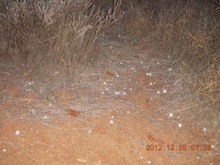 10 84r. Zion National Park - Watchman hike - hailstone from last night