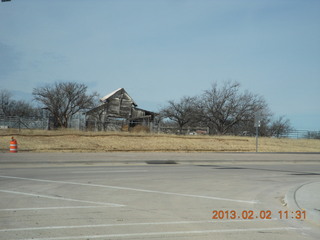 Young International (24AZ) - blurry spider