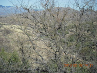 drive back from Empire Ranch