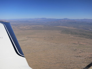 Sean G grapevine pictures