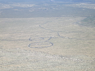 Grapevine fly-in - taking a picture