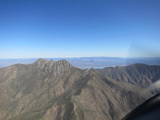 Sean G grapevine pictures