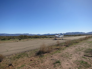 Sean G grapevine pictures - Grapevine