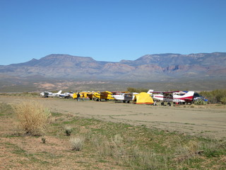 Sean G grapevine pictures