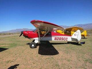 Sean G grapevine pictures