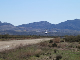 Sean G grapevine pictures - Grapevine