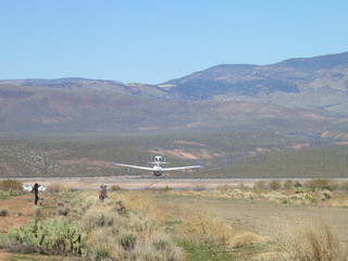 Sean G grapevine pictures - Grapevine