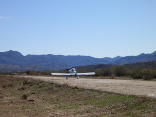 Sean G grapevine pictures - Grapevine