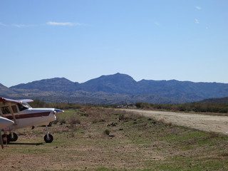 Sean G grapevine pictures - Grapevine