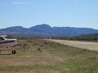 Sean G grapevine pictures - Grapevine