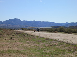 Sean G grapevine pictures - Grapevine