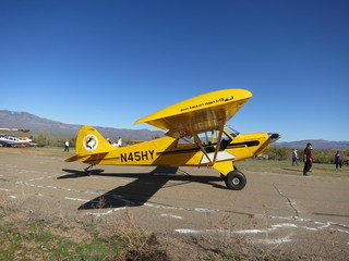 Sean G grapevine pictures - Grapevine