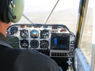 Sean G grapevine pictures - Grapevine