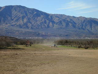 Sean G grapevine pictures - Bouquet Ranch