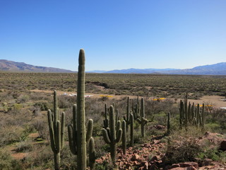 Sean G grapevine pictures - Bouquet Ranch - vista view