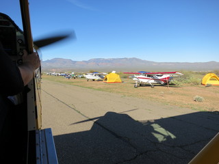 Sean G grapevine pictures - Grapevine