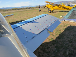 Sean G grapevine pictures - Grapevine