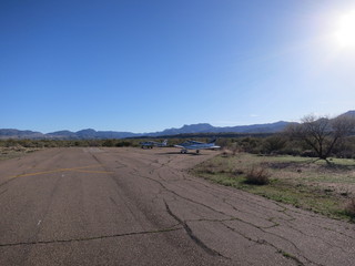 Sean G grapevine pictures - Grapevine