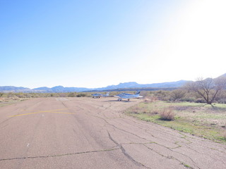 Sean G grapevine pictures - Grapevine