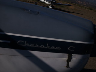 Sean G grapevine pictures - Grapevine - N8377W