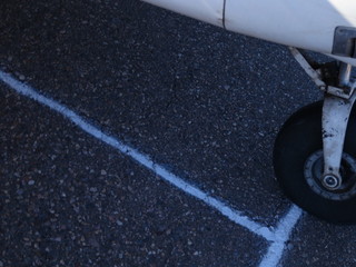 Sean G grapevine pictures - Grapevine