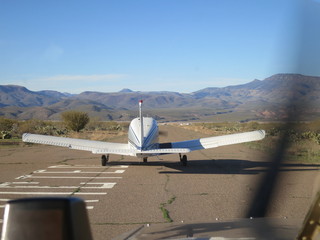 Sean G grapevine pictures - Grapevine - N8377W