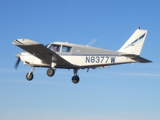 Sean G grapevine pictures - back to Phoenix