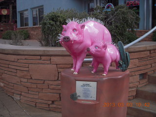 Sedona - Pink Jeep tour - pink javalenas