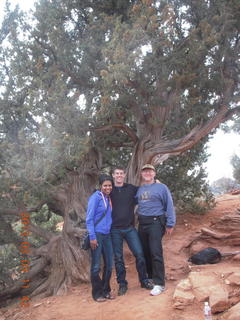 Sedona - Pink Jeep tour - Fatemah and Kevin and a cool tree