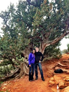 Sedona - Pink Jeep tours van