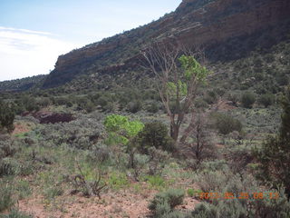 63 89s. Onion Creek drive