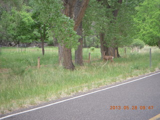 135 89u. Capitol Reef National Park