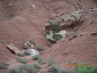 163 89u. Capitol Reef National Park - scenic drive