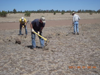 Negrito work party - picking up rocks