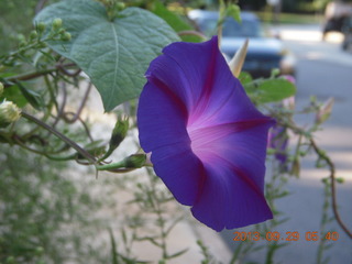 Rite-Aid seen from the train in Philadelphia