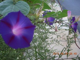 Curtis Arboretum - Adam with Cheltenham Cross Country jacket