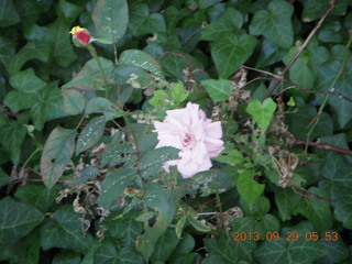 Philadelphia Orchetstra ready for Beethoven No. 9