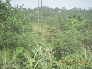 41 8f1. Uganda - drive north to Chobe Sarari Lodge