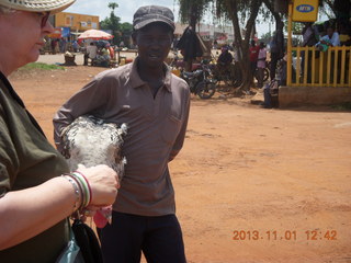 94 8f1. Uganda - drive north to Chobe Sarari Lodge