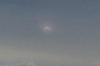 lots of pizza choices