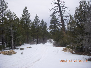 9 8gu. Zion National Park - Cable Mountain hike