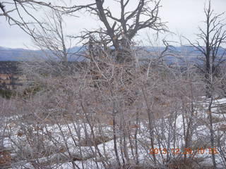 28 8gu. Zion National Park - Cable Mountain hike