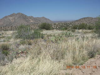 Elizabeth running at Bagdad