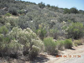 Bagdad hike (my old running loop)