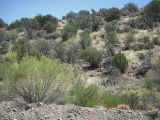 Bagdad run - Adam - back