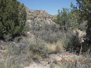 Bagdad hike (my old running loop)