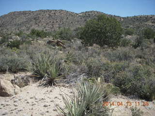 Bagdad hike (my old running loop) - Coors Lake sign