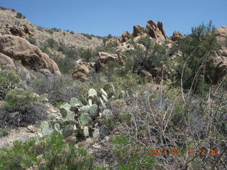 Bagdad hike (my old running loop)