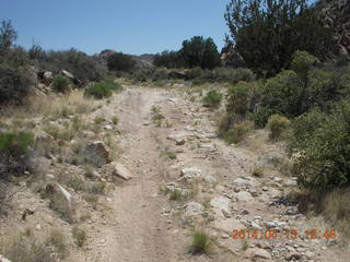 Bagdad hike (my old running loop)