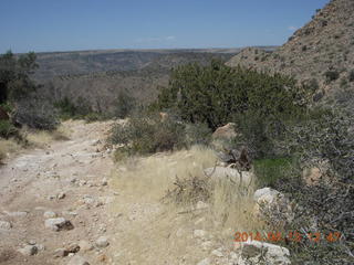 Bagdad hike (my old running loop)